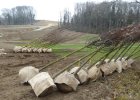 Bepflanzung der Staatsstraße 2018 - Ortsumgehung Obenhausen