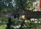 Anbringung und Betreuung von Vogelnist- und Fledermauskästen